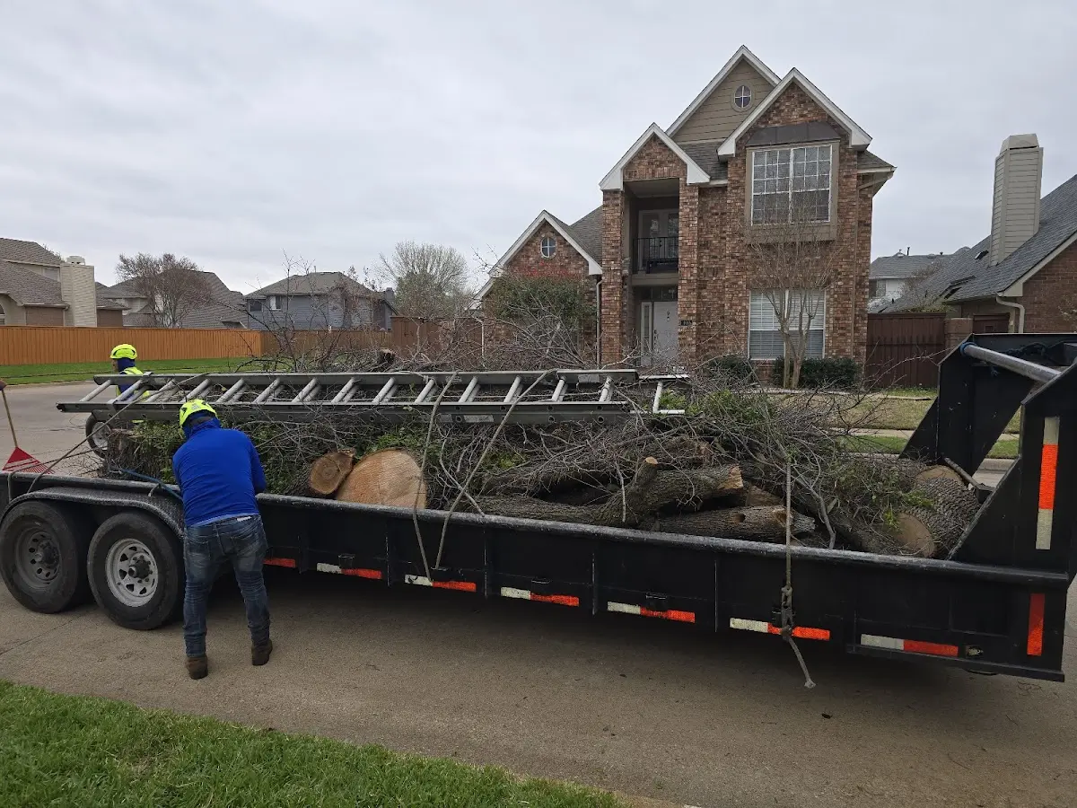 Expert Tree Removal with proper safety equipment in Hendersonville